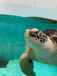 仙台うみの杜水族館に投稿された画像（2024/1/11）