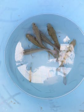 美らヤシパークオキナワ・東南植物楽園に投稿された画像（2024/1/11）