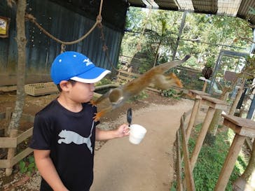 美らヤシパークオキナワ・東南植物楽園に投稿された画像（2024/1/11）