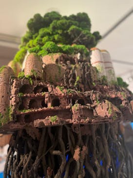 アニメージュとジブリ展に投稿された画像（2024/1/11）