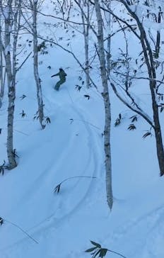 星野リゾート　トマムスキー場に投稿された画像（2024/1/11）