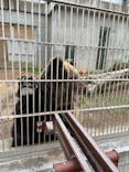 東武動物公園に投稿された画像（2024/1/11）