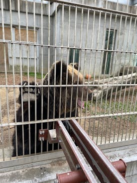 東武動物公園に投稿された画像（2024/1/11）