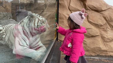 東武動物公園に投稿された画像（2024/1/11）