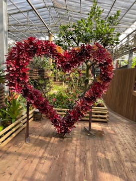 ナゴパイナップルパークに投稿された画像（2024/1/11）