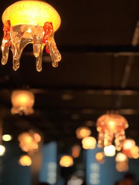 京都水族館に投稿された画像（2024/1/11）