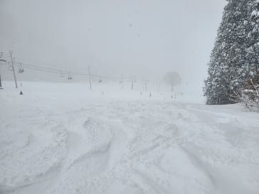 神立スノーリゾートに投稿された画像（2024/1/11）