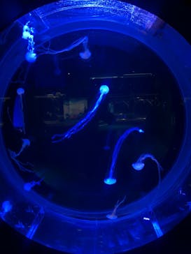 AOAO SAPPOROに投稿された画像（2024/1/11）