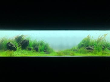 AOAO SAPPOROに投稿された画像（2024/1/11）