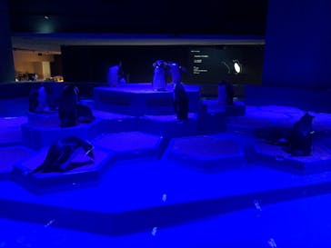 AOAO SAPPOROに投稿された画像（2024/1/11）