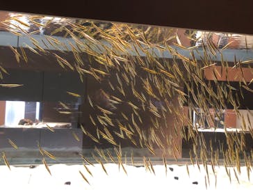 AOAO SAPPOROに投稿された画像（2024/1/11）