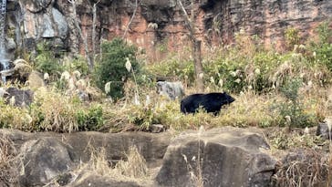 よこはま動物園ズーラシアに投稿された画像（2024/1/11）