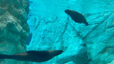 よこはま動物園ズーラシアに投稿された画像（2024/1/11）