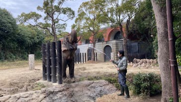 よこはま動物園ズーラシアに投稿された画像（2024/1/11）