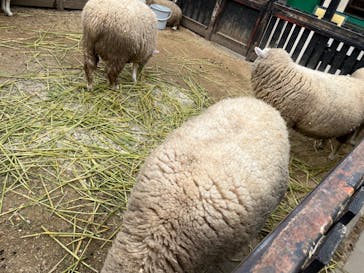 宇都宮動物園に投稿された画像（2024/1/11）