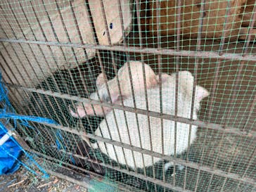 宇都宮動物園に投稿された画像（2024/1/11）