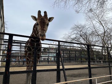 宇都宮動物園に投稿された画像（2024/1/11）