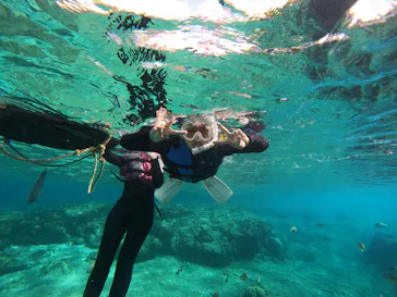 武藤潜水に投稿された画像（2024/1/12）