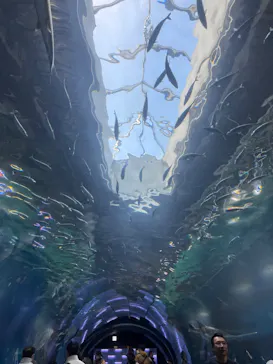 マクセル アクアパーク品川に投稿された画像（2024/1/12）