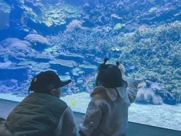 大分マリーンパレス水族館 「うみたまご」に投稿された画像（2024/1/12）