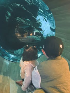 大分マリーンパレス水族館 「うみたまご」に投稿された画像（2024/1/12）