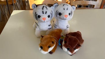 東武動物公園に投稿された画像（2024/1/12）