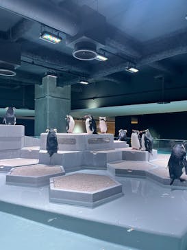 AOAO SAPPOROに投稿された画像（2024/1/12）