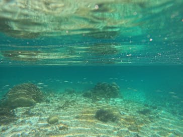 宮古島 ADVENTURE PiPi（ミヤコジマ アドベンチャー ピピ）に投稿された画像（2024/1/12）