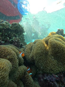 宮古島 ADVENTURE PiPi（ミヤコジマ アドベンチャー ピピ）に投稿された画像（2024/1/12）