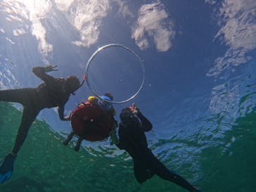 宮古島 ADVENTURE PiPi（ミヤコジマ アドベンチャー ピピ）に投稿された画像（2024/1/12）