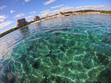 宮古島 ADVENTURE PiPi（ミヤコジマ アドベンチャー ピピ）に投稿された画像（2024/1/12）