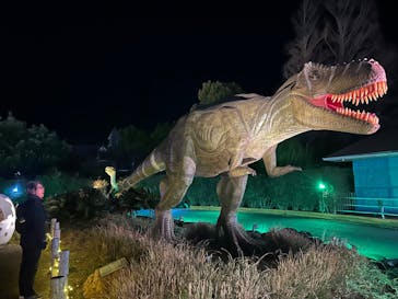 伊豆ぐらんぱる公園に投稿された画像（2024/1/12）