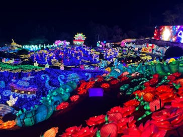 伊豆ぐらんぱる公園に投稿された画像（2024/1/12）