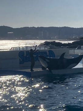 鴨川シーワールドに投稿された画像（2024/1/12）