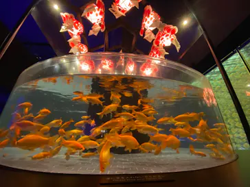 すみだ水族館に投稿された画像（2024/1/12）