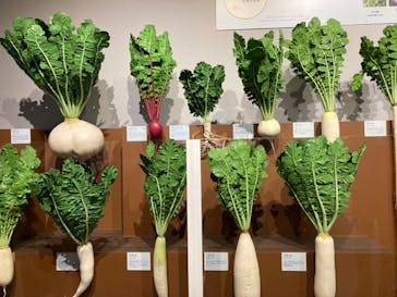 特別展「和食 ～日本の自然、人々の知恵～」に投稿された画像（2024/1/13）