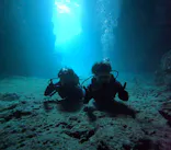 武藤潜水に投稿された画像（2024/1/13）