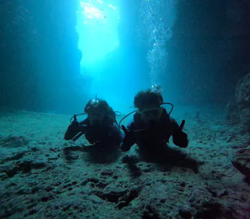 武藤潜水に投稿された画像（2024/1/13）