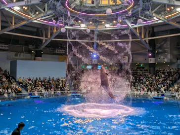 マクセル アクアパーク品川に投稿された画像（2024/1/13）