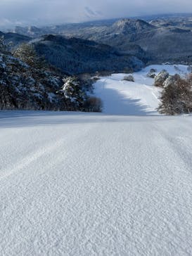 大仙市営協和スキー場に投稿された画像（2024/1/13）