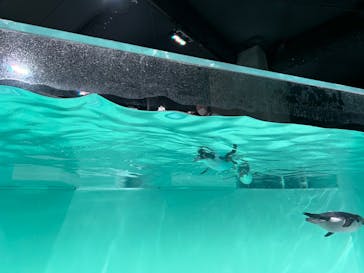 AOAO SAPPOROに投稿された画像（2024/1/13）