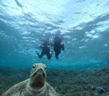 宮古島 ADVENTURE PiPi（ミヤコジマ アドベンチャー ピピ）に投稿された画像（2024/1/13）