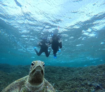 宮古島 ADVENTURE PiPi（ミヤコジマ アドベンチャー ピピ）に投稿された画像（2024/1/13）