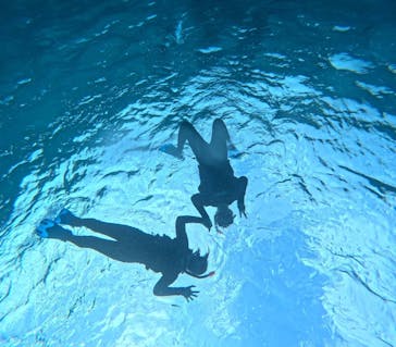 宮古島 ADVENTURE PiPi（ミヤコジマ アドベンチャー ピピ）に投稿された画像（2024/1/13）