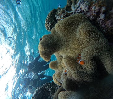 宮古島 ADVENTURE PiPi（ミヤコジマ アドベンチャー ピピ）に投稿された画像（2024/1/13）