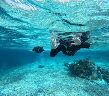 宮古島 ADVENTURE PiPi（ミヤコジマ アドベンチャー ピピ）に投稿された画像（2024/1/13）