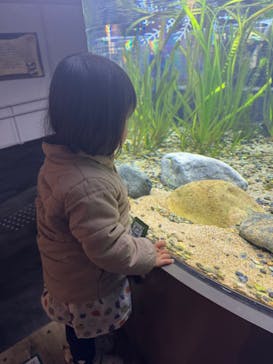 カワスイ 川崎⽔族館に投稿された画像（2024/1/13）