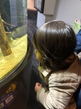 カワスイ 川崎⽔族館に投稿された画像（2024/1/13）