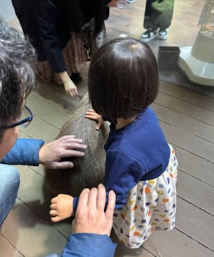 カワスイ 川崎⽔族館に投稿された画像（2024/1/13）