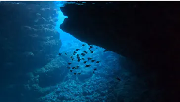 武藤潜水に投稿された画像（2024/1/13）